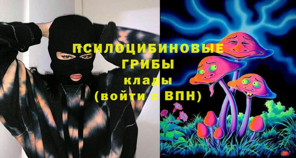 мдпв Абаза
