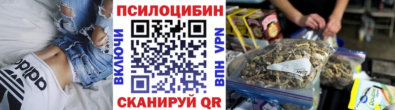 Псилоцибиновые грибы мухоморы Инта