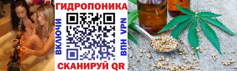 Бошки Шишки марихуана  Инта 